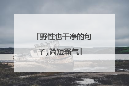 野性也干净的句子,简短霸气