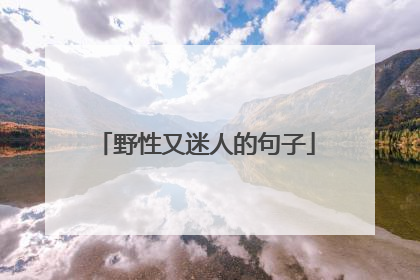 野性又迷人的句子