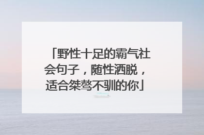 野性十足的霸气社会句子，随性洒脱，适合桀骜不驯的你