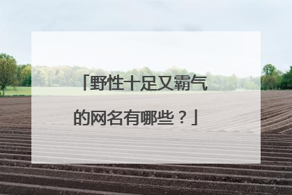 野性十足又霸气的网名有哪些？