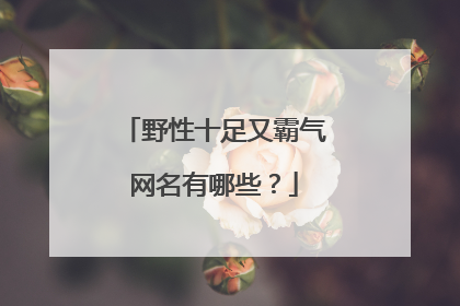 野性十足又霸气网名有哪些？