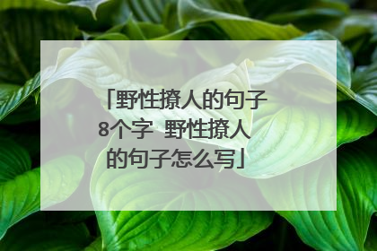 野性撩人的句子8个字 野性撩人的句子怎么写