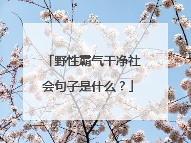 野性霸气干净社会句子是什么?