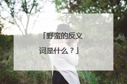 野蛮的反义词是什么？