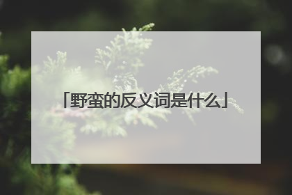 野蛮的反义词是什么