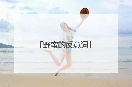 野蛮的反意词