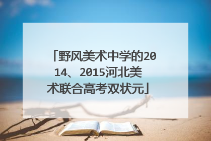 野风美术中学的2014、2015河北美术联合高考双状元