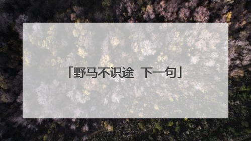 野马不识途 下一句