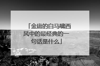 金庸的白马啸西风中的最经典的一句话是什么