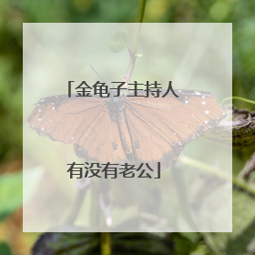 金龟子主持人有没有老公