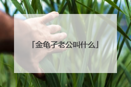 金龟孑老公叫什么