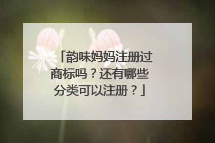 韵味妈妈注册过商标吗?还有哪些分类可以注册?
