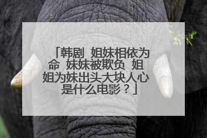 韩剧 姐妹相依为命 妹妹被欺负 姐姐为妹出头大块人心 是什么电影？