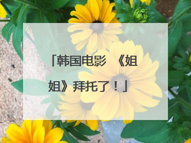 韩国电影 《姐姐》拜托了!