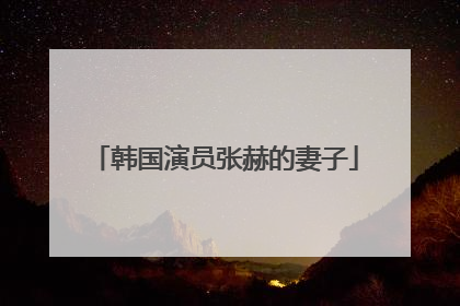 韩国演员张赫的妻子