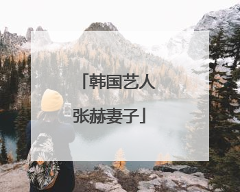 韩国艺人张赫妻子