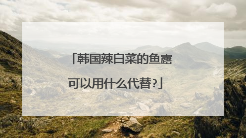 韩国辣白菜的鱼露可以用什么代替?