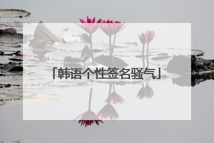 韩语个性签名骚气