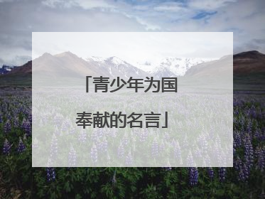 青少年为国奉献的名言