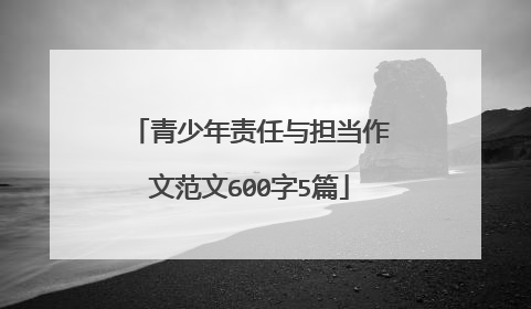 青少年责任与担当作文范文600字5篇