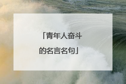 青年人奋斗的名言名句