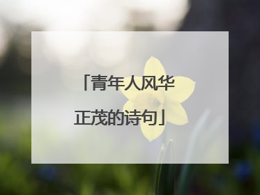青年人风华正茂的诗句