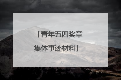 青年五四奖章集体事迹材料