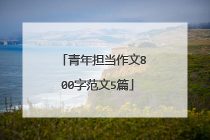 青年担当作文800字范文5篇