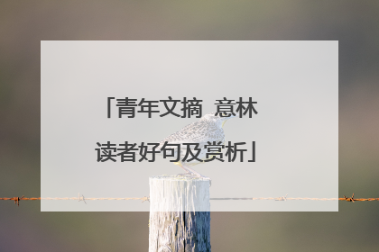 青年文摘 意林 读者好句及赏析