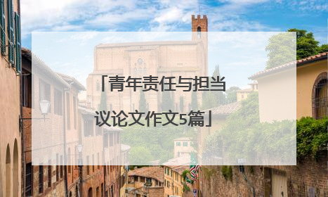 青年责任与担当议论文作文5篇
