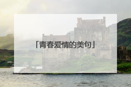 青春爱情的美句