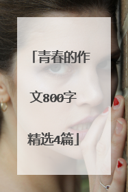 青春的作文800字精选4篇