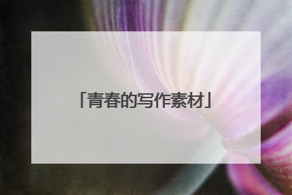 青春的写作素材