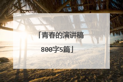 青春的演讲稿800字5篇