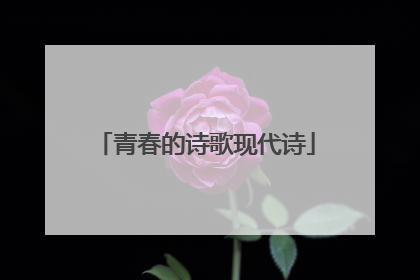 青春的诗歌现代诗