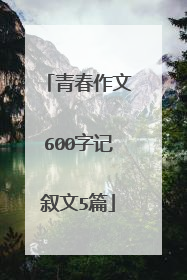 青春作文600字记叙文5篇