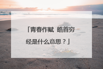 青春作赋 皓首穷经是什么意思?