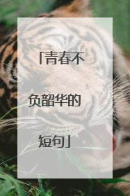 青春不负韶华的短句