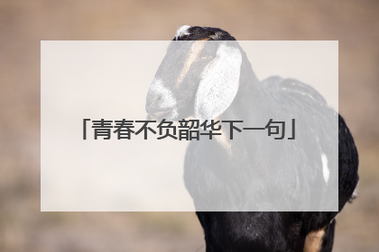 青春不负韶华下一句