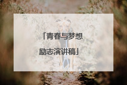 青春与梦想励志演讲稿