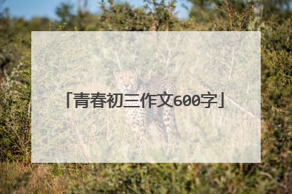 青春初三作文600字