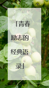 青春励志的经典语录