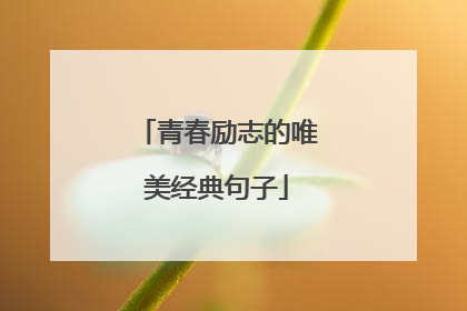 青春励志的唯美经典句子