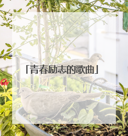 青春励志的歌曲