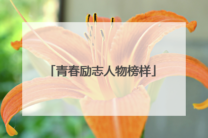 青春励志人物榜样