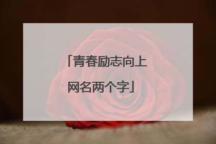 青春励志向上网名两个字