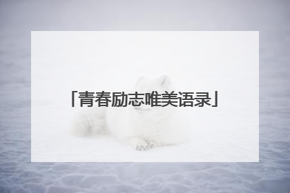 青春励志唯美语录