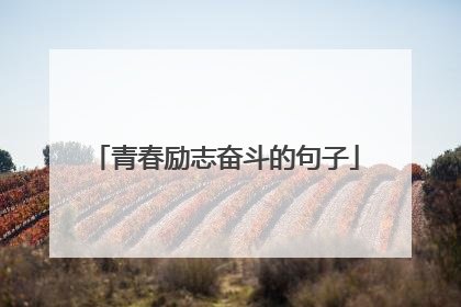 青春励志奋斗的句子