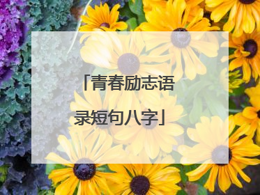 青春励志语录短句八字