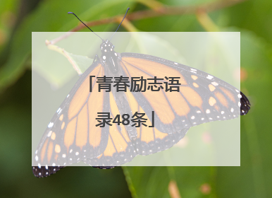 青春励志语录48条